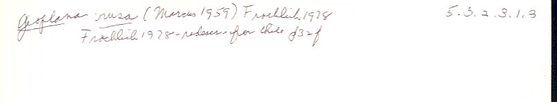 index card