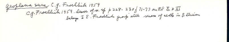 index card