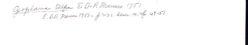 index card