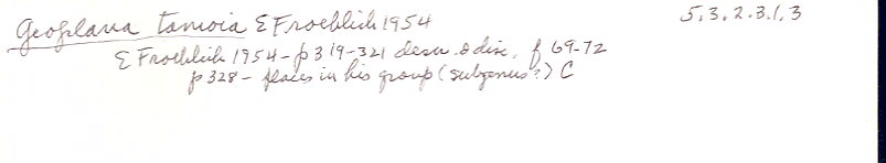 index card
