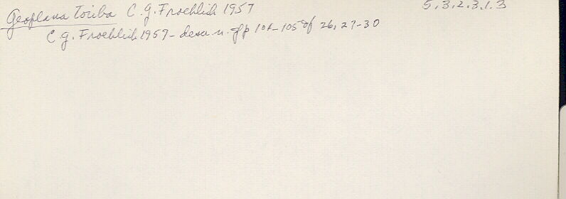 index card