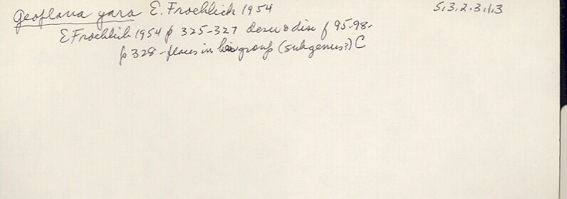 index card