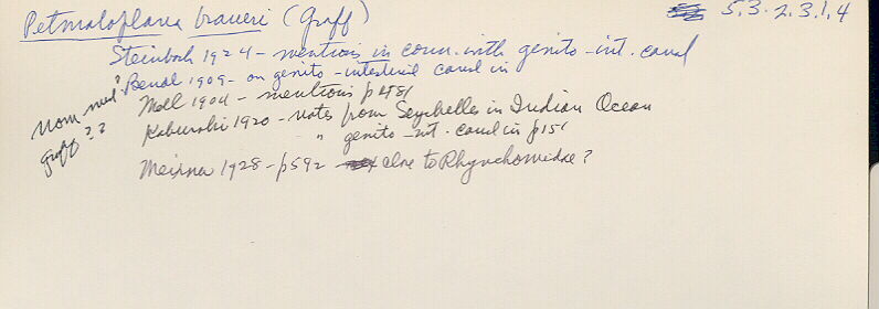 index card
