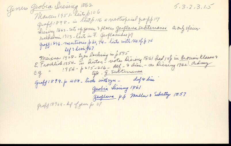 index card