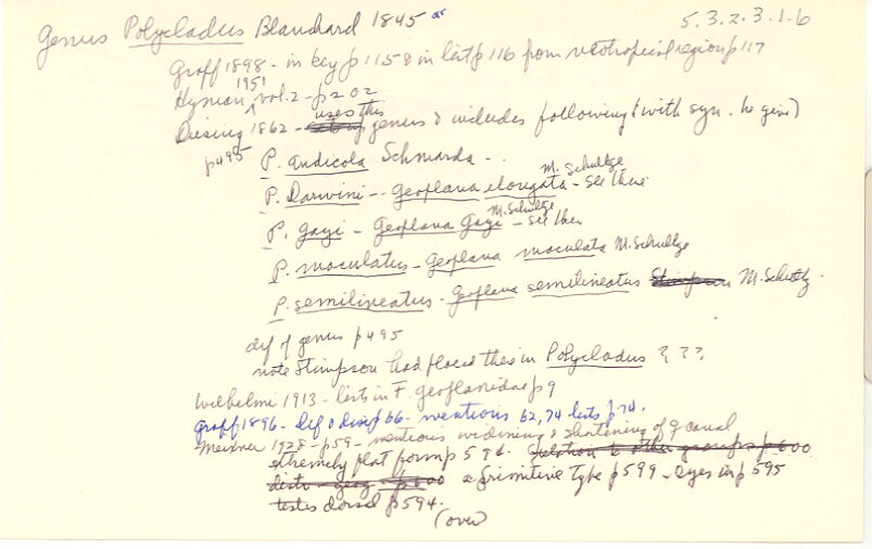 index card