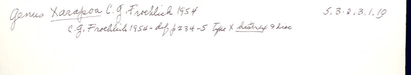 index card