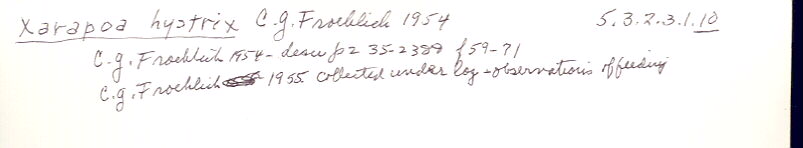 index card