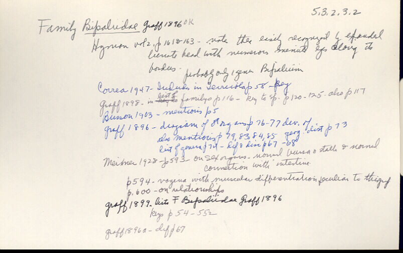 index card