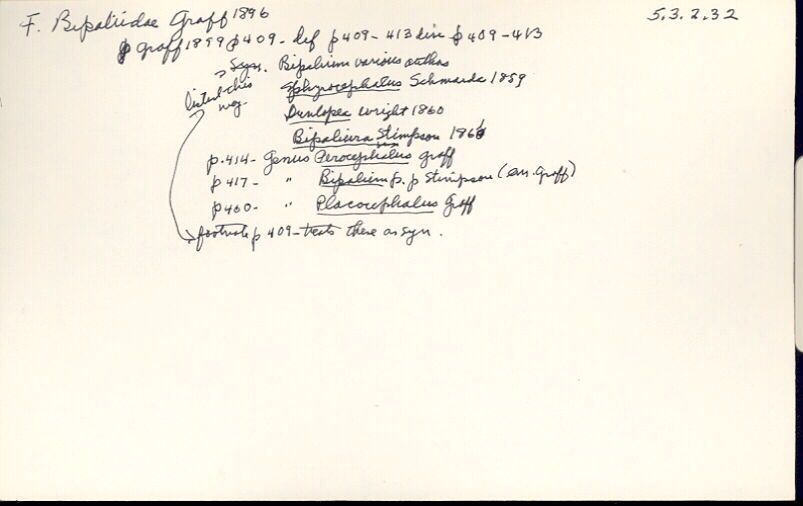 index card