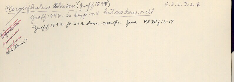 index card