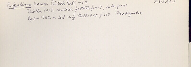 index card