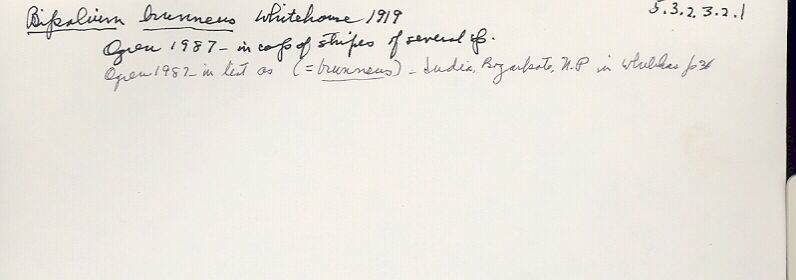index card