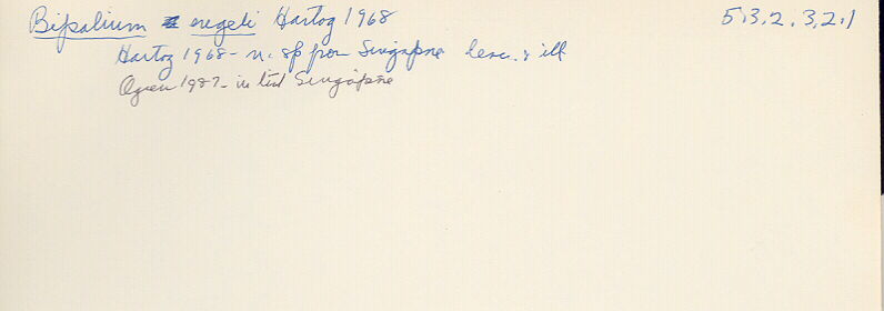 index card