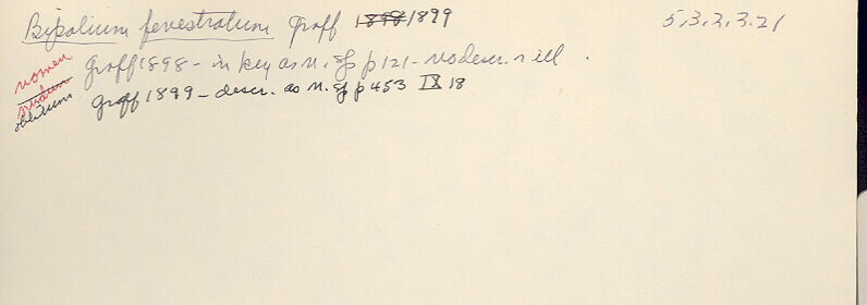 index card