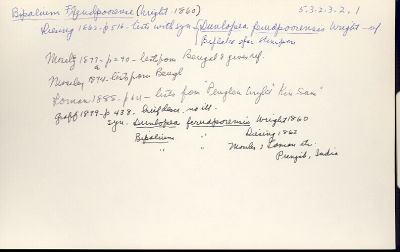 index card