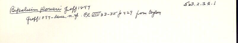 index card