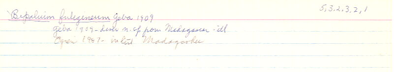 index card