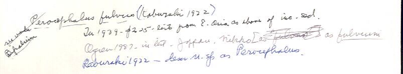 index card