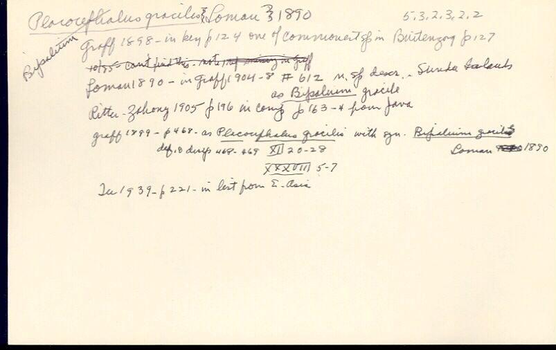 index card