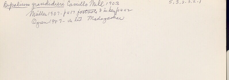 index card