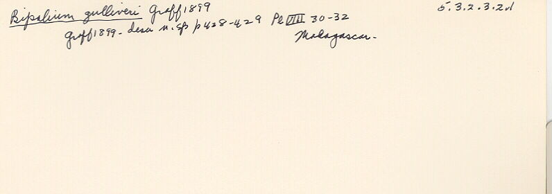 index card