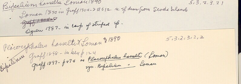 index card