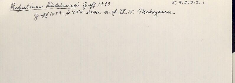 index card