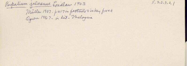 index card