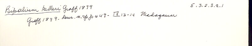 index card