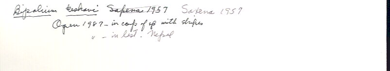 index card