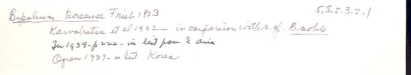 index card