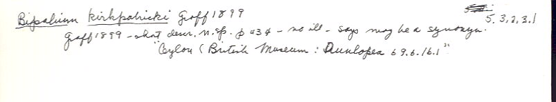 index card