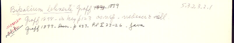 index card