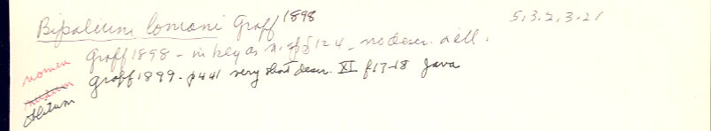 index card