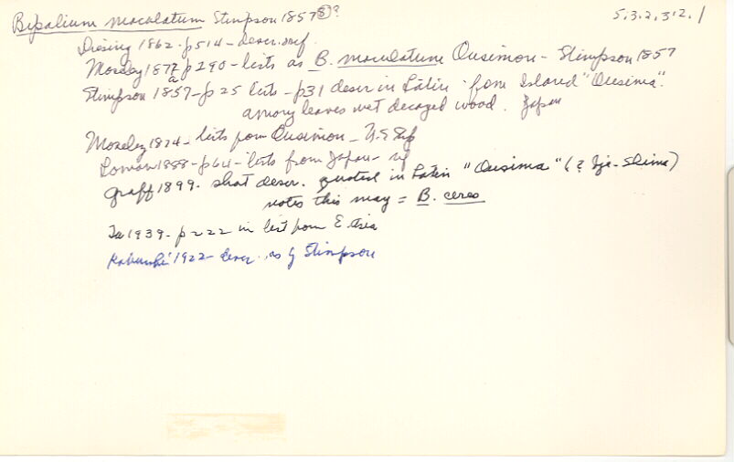 index card