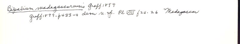 index card