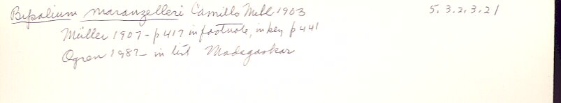 index card