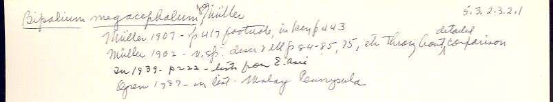 index card