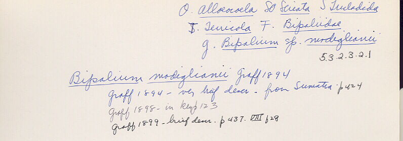index card