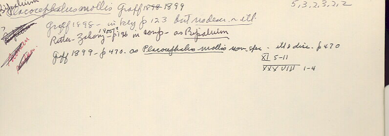 index card