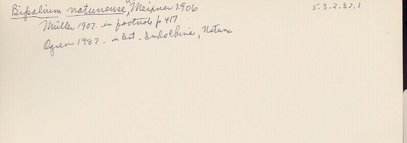 index card