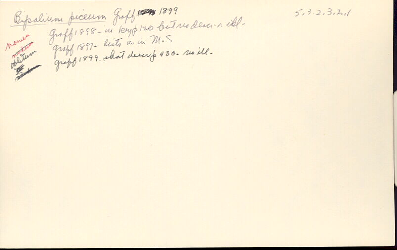 index card