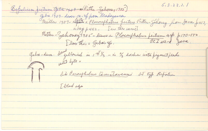 index card