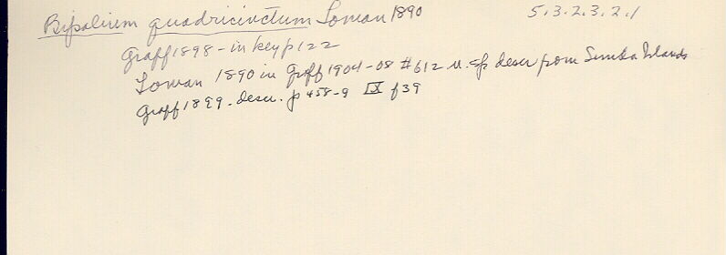 index card
