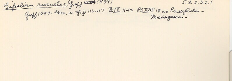 index card
