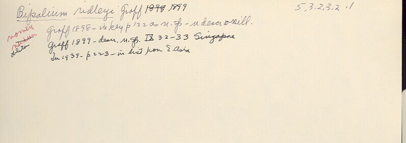 index card