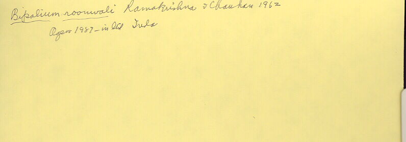 index card