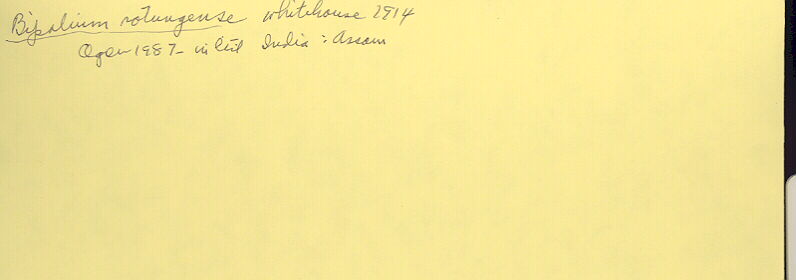 index card