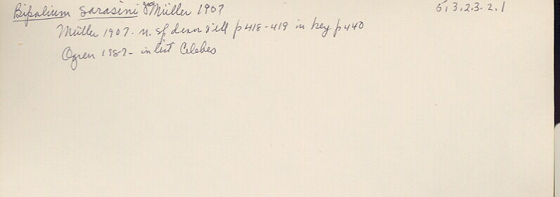 index card