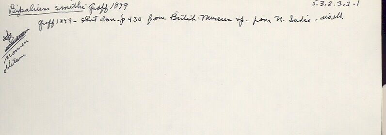 index card